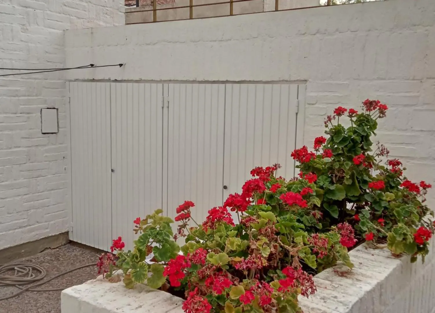 Apartament Enbenegass Mendoza